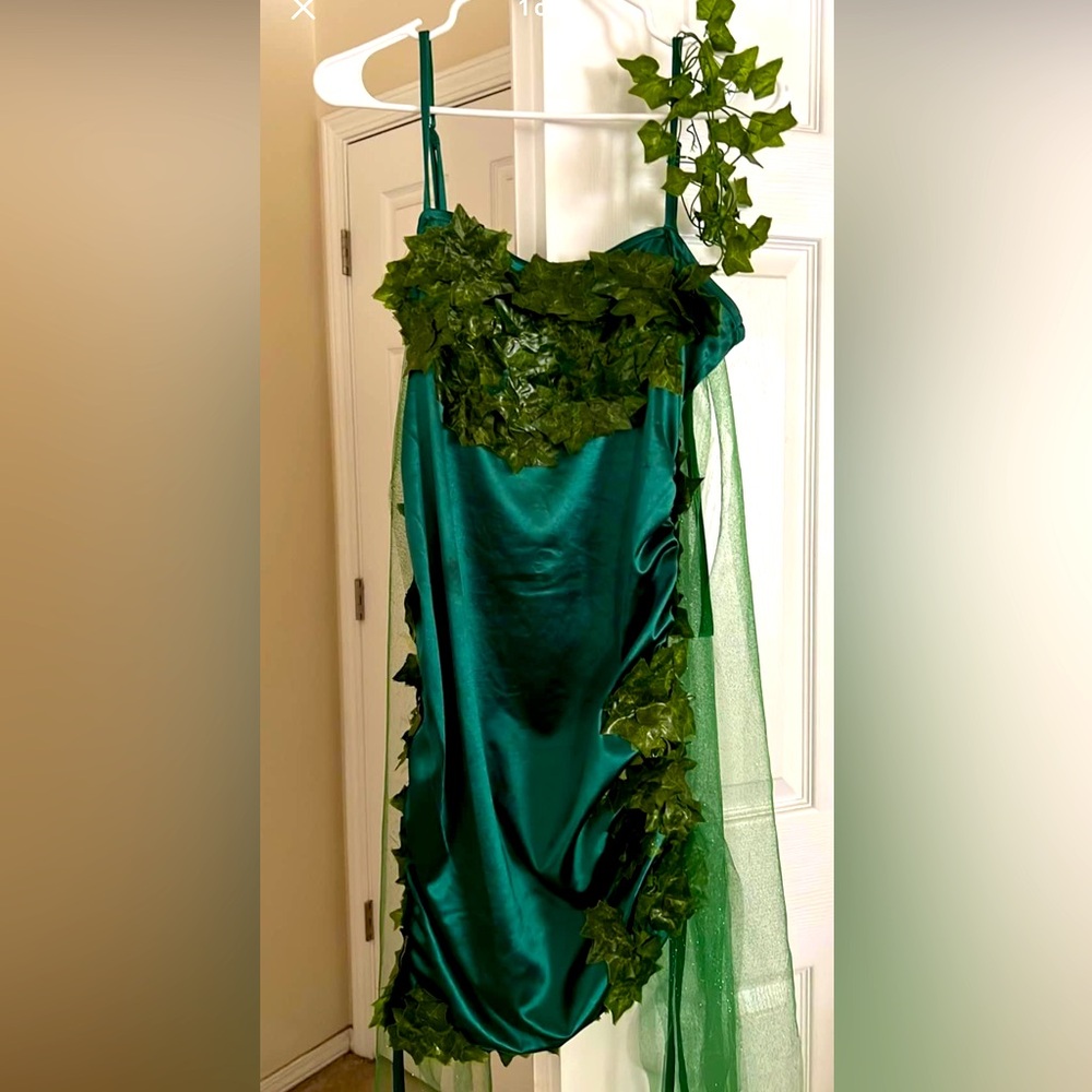 Cos Play Poison Ivy Costume